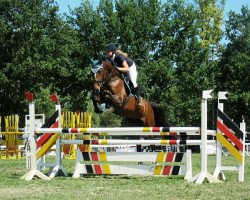 jumper Pearl Harbor CB (Swedish Warmblood, 2005, from Briar)