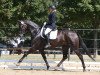 dressage horse Freddi Mac (German Sport Horse, 2011, from Famous Flamur)