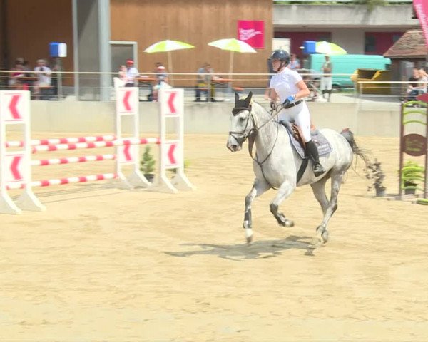 Reitturnier Schwyz 2020