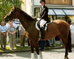 broodmare Ophea II (Trakehner, 1993, from Darß xx 2753)