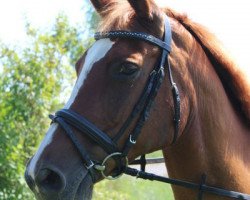 broodmare Mary Poppins III (Trakehner, 1994, from Donaumonarch)