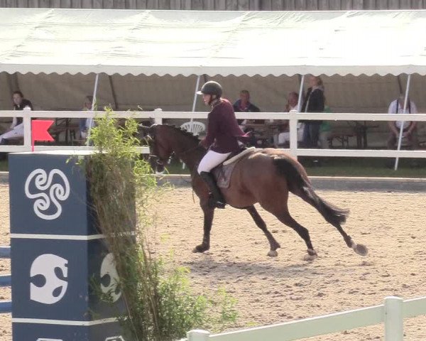 Reitturnier Ladelund 2020