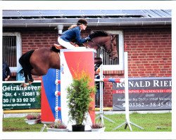 jumper Bryan 10 (New Forest Pony, 2002, from Vivienne's Vision of Freedom)