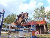 jumper Sacrebleu 2 (German Sport Horse, 2004, from Saccor)