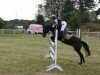 horse Kalif (German Riding Pony, 1997, from Kiribati)