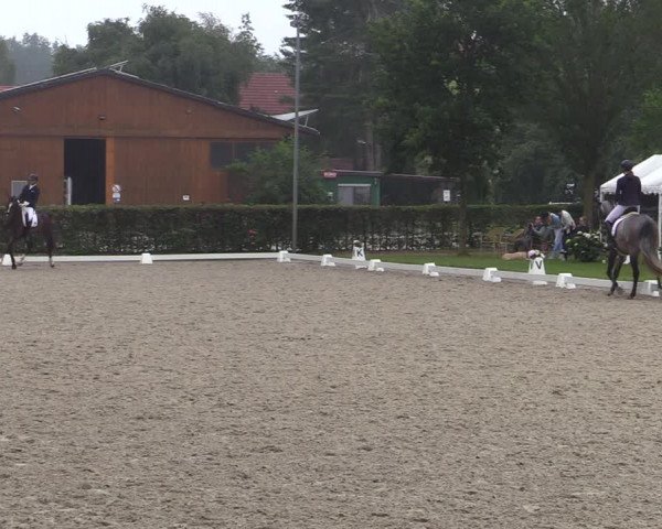 Reitturnier Greven 2020