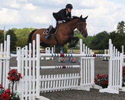 jumper Mhs Washington (Irish Sport Horse, 2008, from Obos Quality)