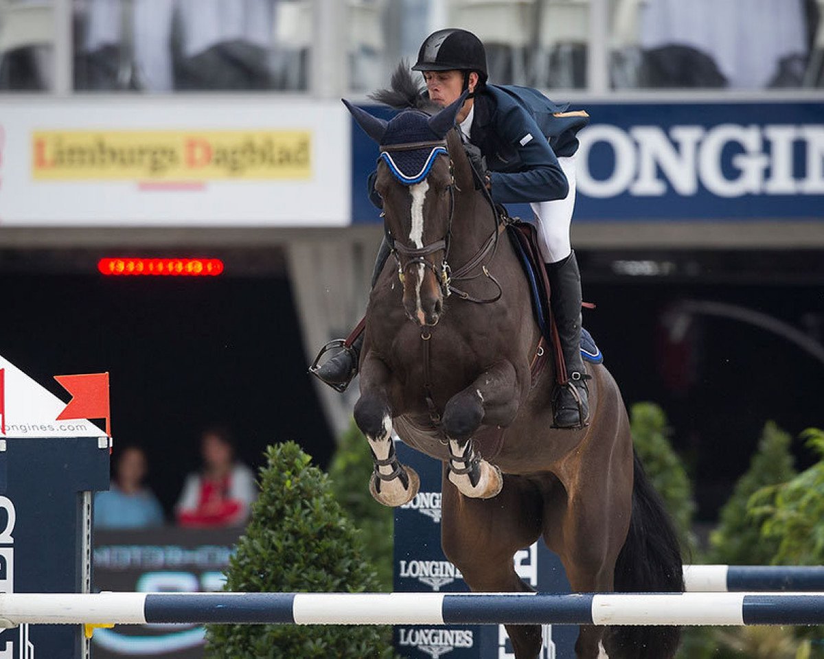Springpferd Hh Earley (KWPN (Niederländisches Warmblut), 2009, von VDL Harley)