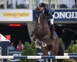 jumper Hh Earley (KWPN (Royal Dutch Sporthorse), 2009, from VDL Harley)