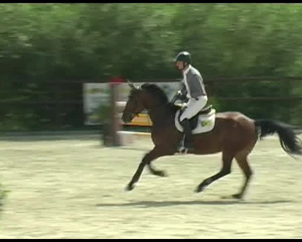 Reitturnier Bättwil 2020