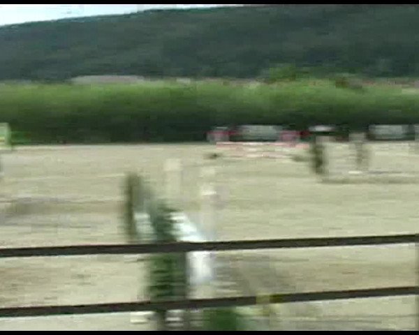 Reitturnier Bättwil 2020
