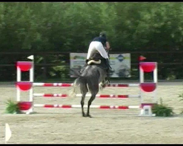 Reitturnier Bättwil 2020