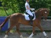 dressage horse Jessy James 5 (KWPN (Royal Dutch Sporthorse), 2008, from Wynton)