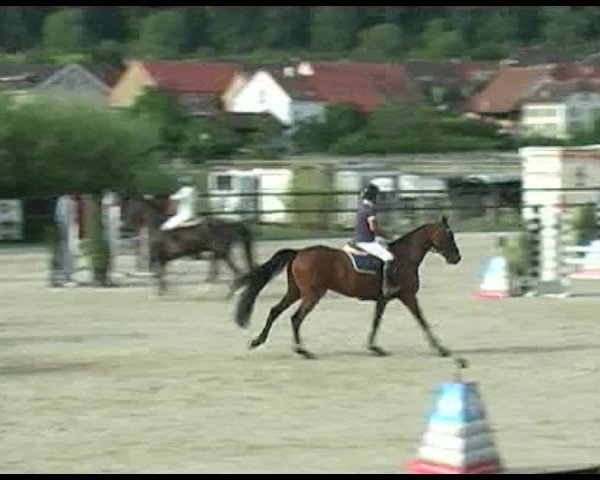 Reitturnier Bättwil 2020