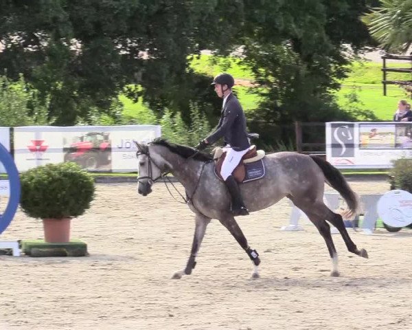 Reitturnier Schnarup-Thumby 2020