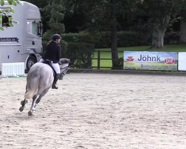Reitturnier Schnarup-Thumby 2020