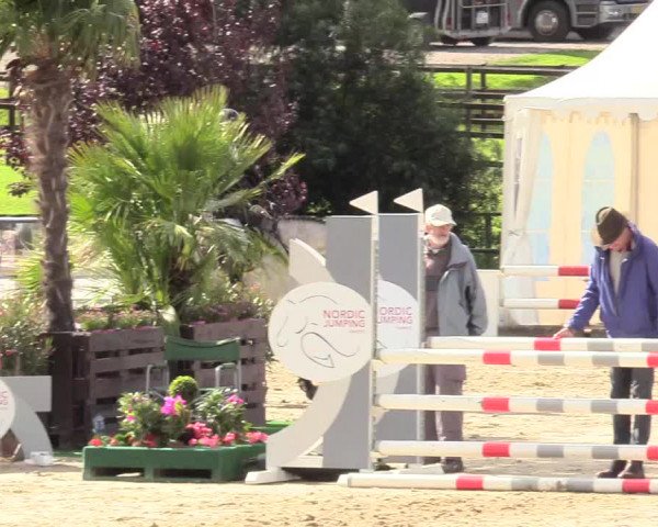 Reitturnier Schnarup-Thumby 2020