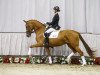 broodmare Fashion Week (Westphalian, 2012, from First Selection)