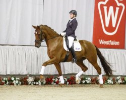 dressage horse Valentano (Westphalian, 2011, from Vitalis)