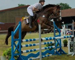 jumper Rolando de Gunas (Hanoverian, 2008, from Rouletto)