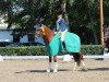 broodmare Wyonna 3 (German Riding Pony, 2012, from Heidbergs Nancho Nova)