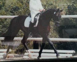 broodmare Floreale (Rhinelander, 1998, from Florestan I)