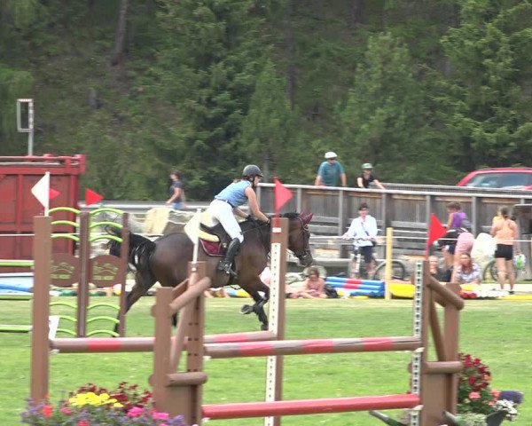 Reitturnier St. Moritz 2020