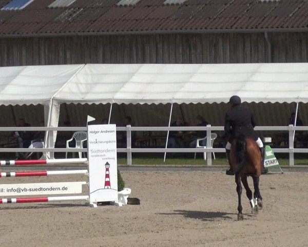 Reitturnier Ladelund 2020