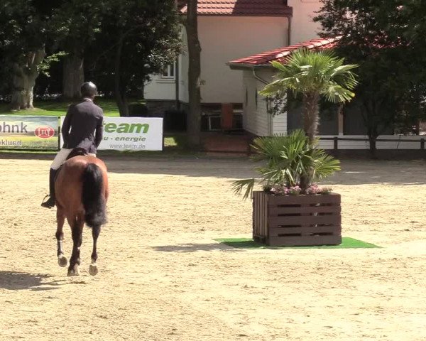 Reitturnier Schnarup-Thumby 2020