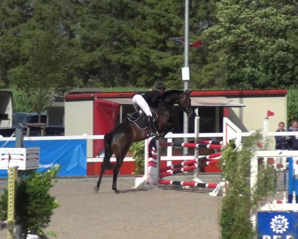 Reitturnier Ladelund 2020