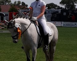 dressage horse Wanda P (German Riding Pony, 2007, from Charivari)