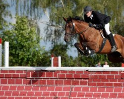 jumper Altenau (Trakehner, 2007, from Sanssouci)