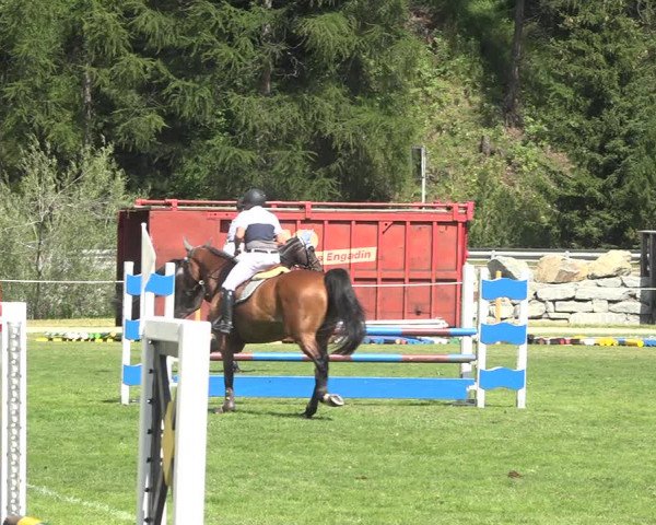 Reitturnier St. Moritz 2020