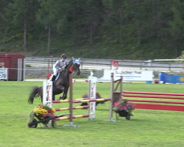 Reitturnier St. Moritz 2020