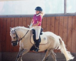 dressage horse Pinochio 16 (Welsh Pony (Sek.B), 2007)