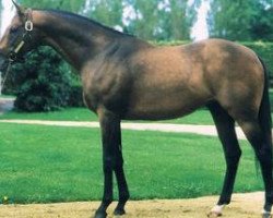 stallion Le Glorieux xx (Thoroughbred, 1984, from Cure the Blues xx)