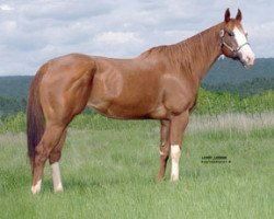 broodmare Della And The Dealer (Paint Horse, 2003, from A Cash Request)