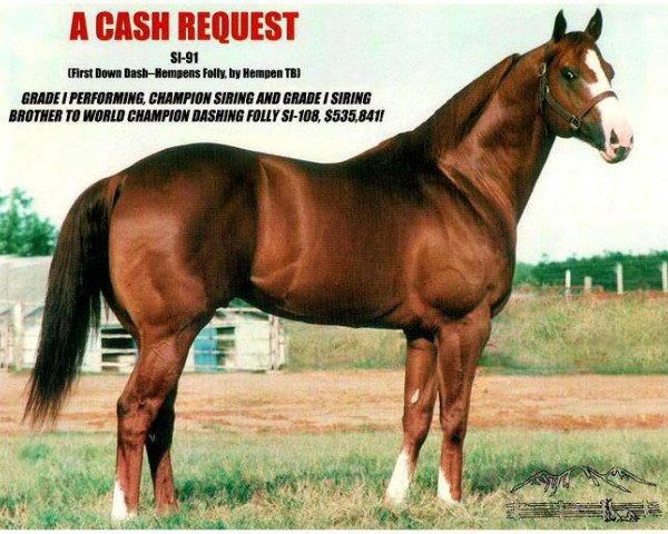 Deckhengst A Cash Request (Quarter Horse, 1991, von First Down Dash)