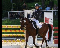 dressage horse Brownie (Holländisches riding ponies, 1995)