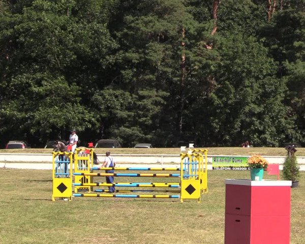 Reitturnier Wörmlitz 2020