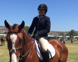 jumper Grandero 13 (Hanoverian, 2010, from Graf Top)