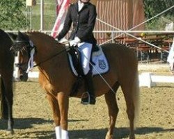 dressage horse Nikodero SJ (German Riding Pony, 1995, from Derano Gold)