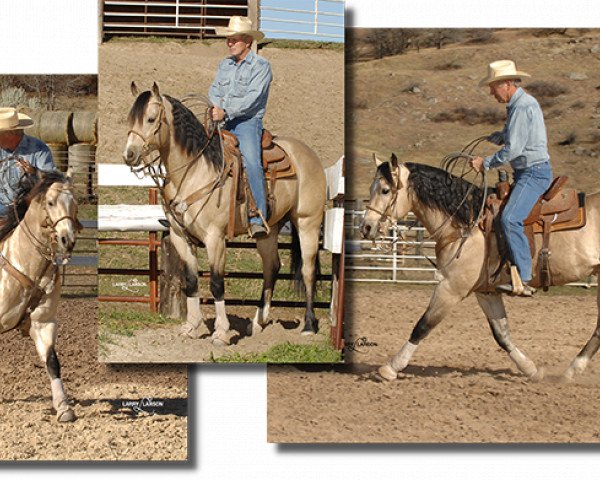 Deckhengst A Smooth Guy (Quarter Horse, 2005, von Frenchmans Guy)