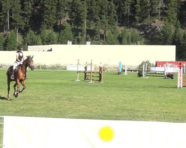 Reitturnier St. Moritz 2020