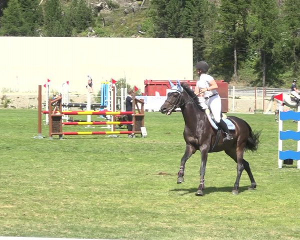 Reitturnier St. Moritz 2020