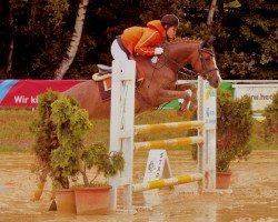 jumper De la soul 3 (German Riding Pony, 2006, from Donauwind)