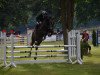 jumper Con Cantonius ZL (German Warmblood, 2010, from Cancoon)