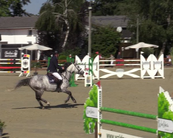 Equus Colonius - Reitanlage Brüse Köln 2021