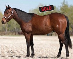 horse JL Indigo (Quarter Horse, 2010, from Red xx)