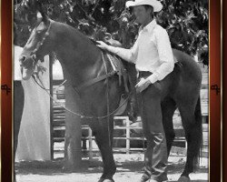 stallion Docs Oak (Quarter Horse, 1973, from Doc Bar)